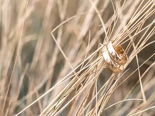 partenaire bague de mariage